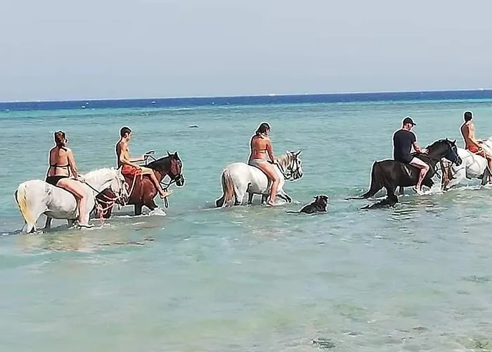 Szálloda Selena Bay